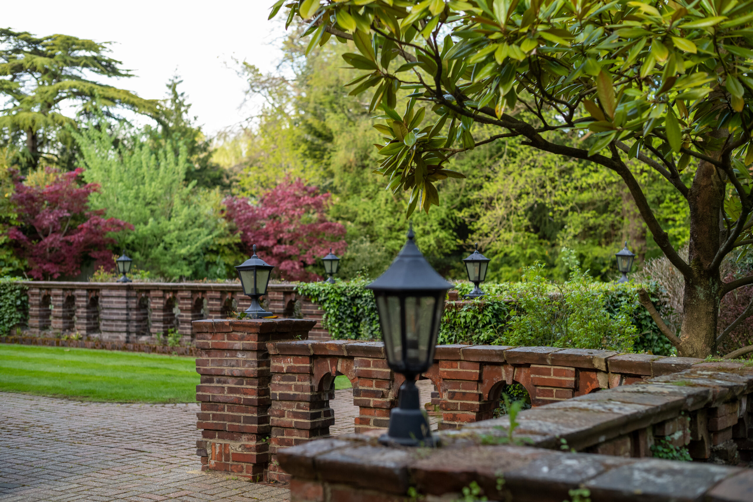 Trees on Kemnal Road